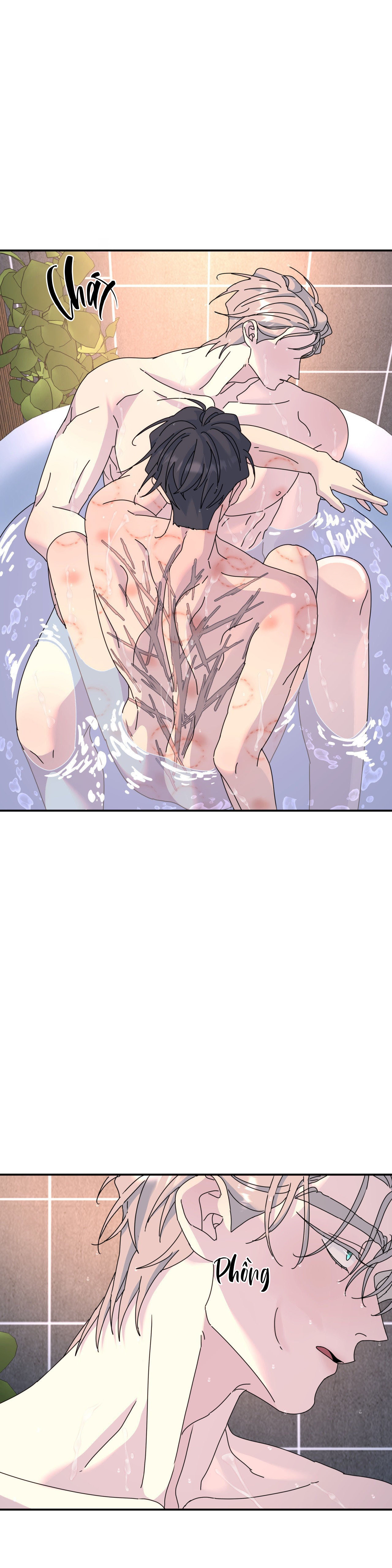 Cây Không Có Rễ - Chap 74