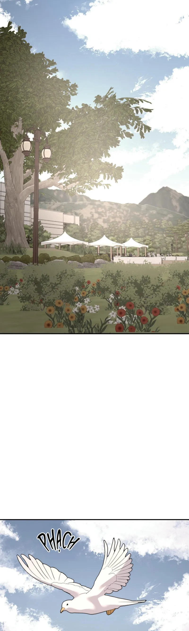 Cây Không Có Rễ - Chap 77