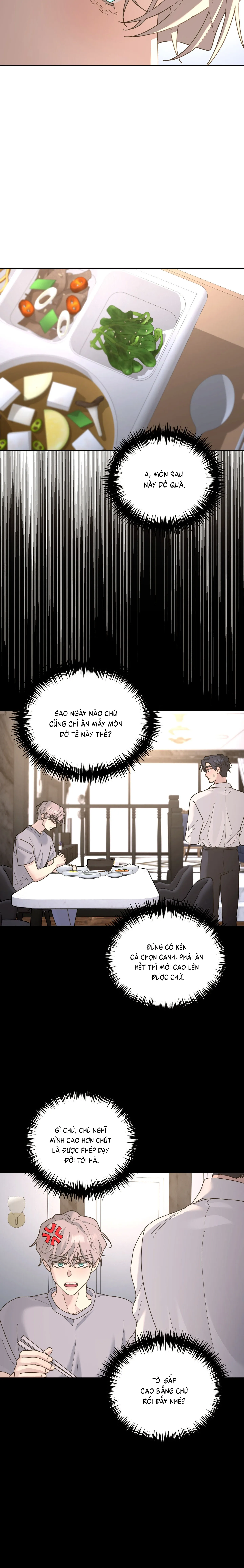 Cây Không Có Rễ - Chap 96