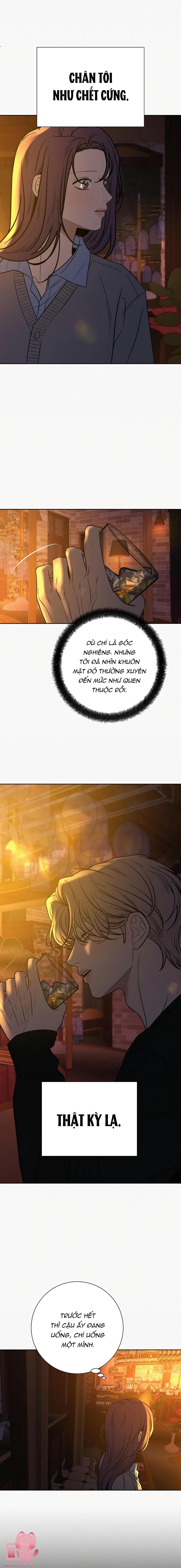 Chiến Lược Tình Yêu Trong Sáng - Chap 105