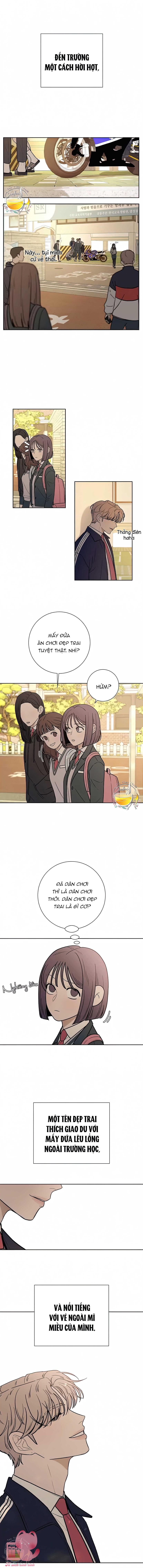 Chiến Lược Tình Yêu Trong Sáng - Chap 13