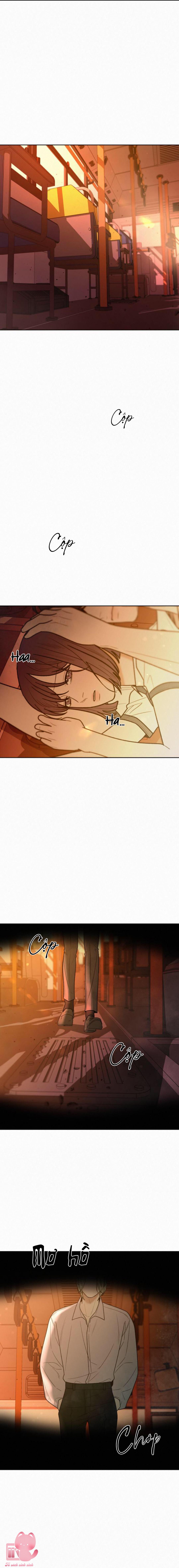 Chiến Lược Tình Yêu Trong Sáng - Chap 66