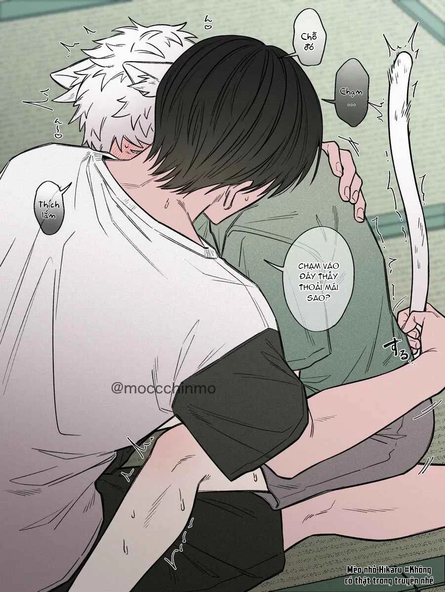 Cho 50k Couple Lộn Xộn - Chap 2