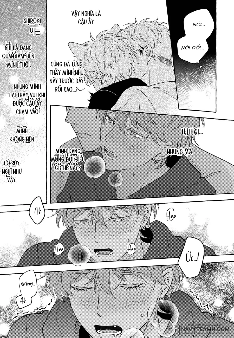 Chú Sói Vụng Về - Chap 4