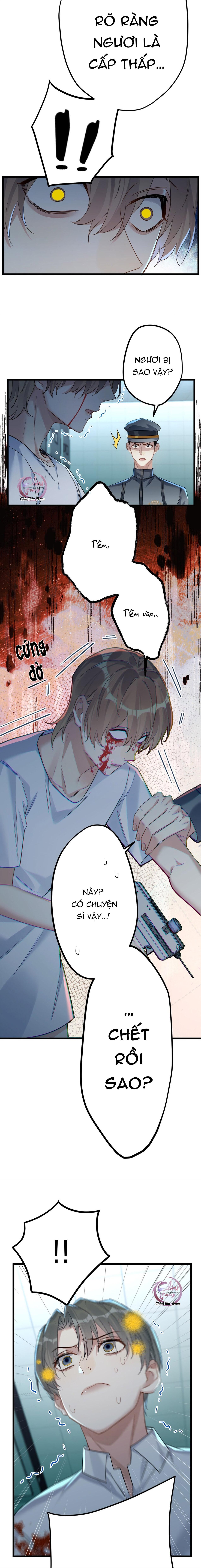 Chung Tình (END) - Chap 31