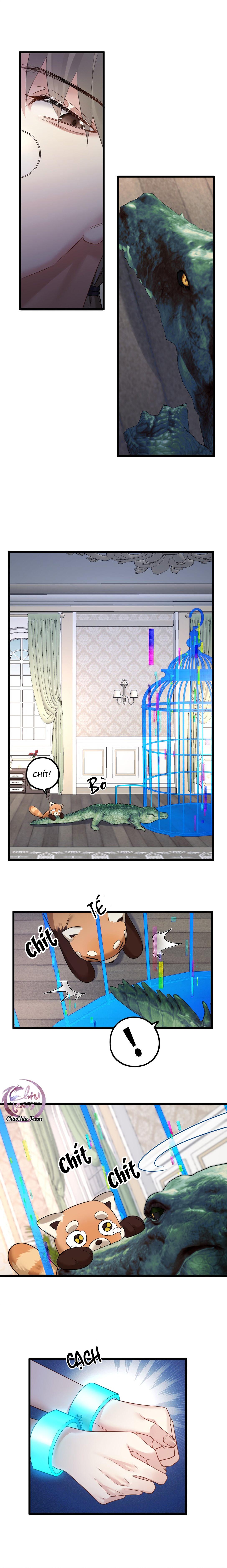 Chung Tình (END) - Chap 35