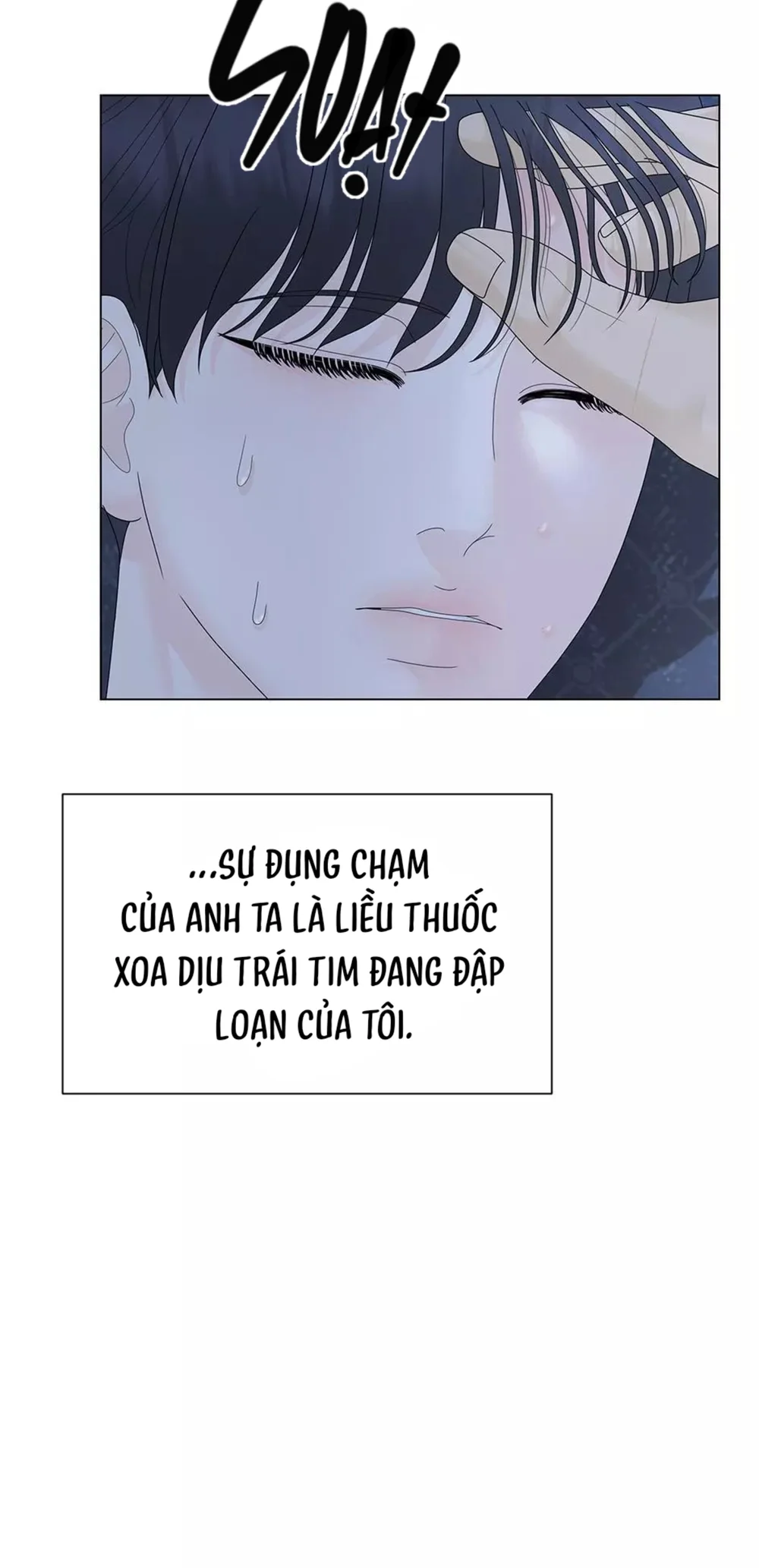 Cội Nguồn Mãnh Hổ Chap 12 - Next Chap 13