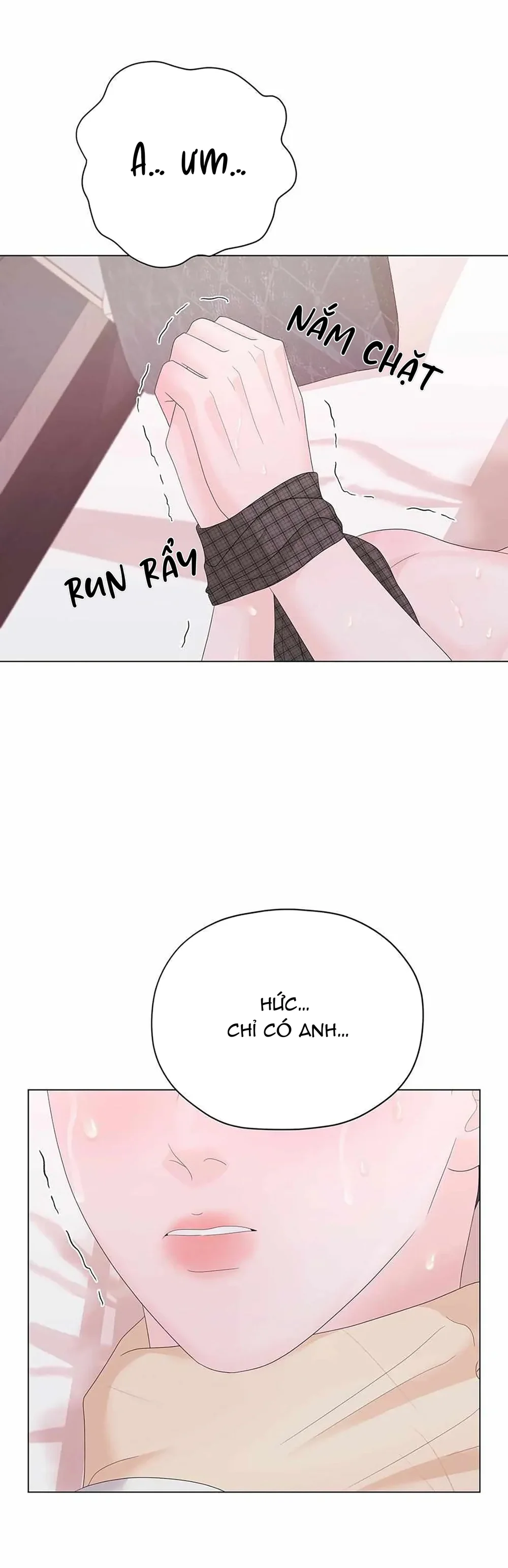 Cội Nguồn Mãnh Hổ Chap 18 - Next Chap 19