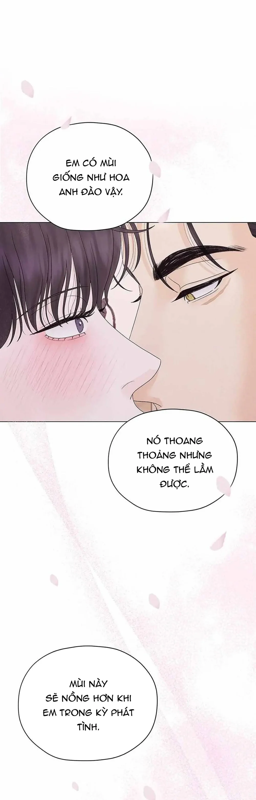 Cội Nguồn Mãnh Hổ Chap 23 - Next Chap 24