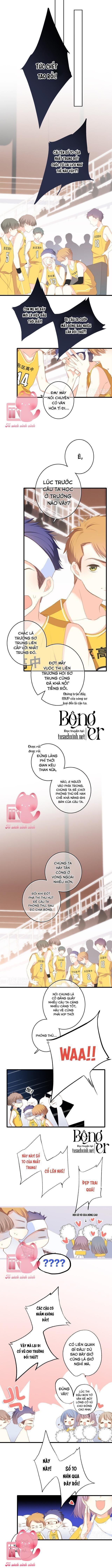 Con Tim Rung Động - Chap 117