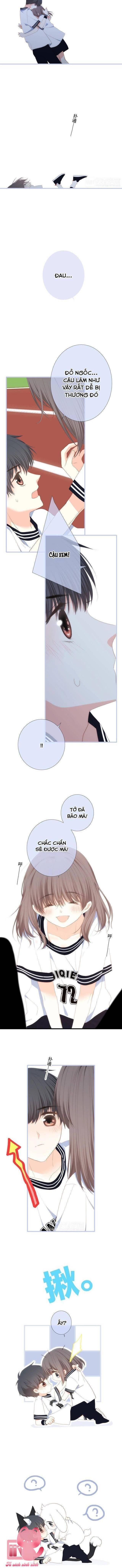 Con Tim Rung Động - Chap 137.2