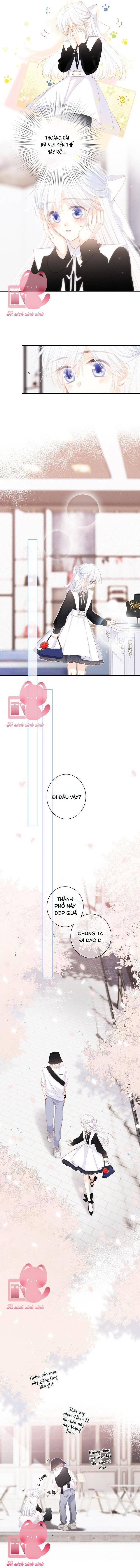 Con Tim Rung Động - Chap 155.3