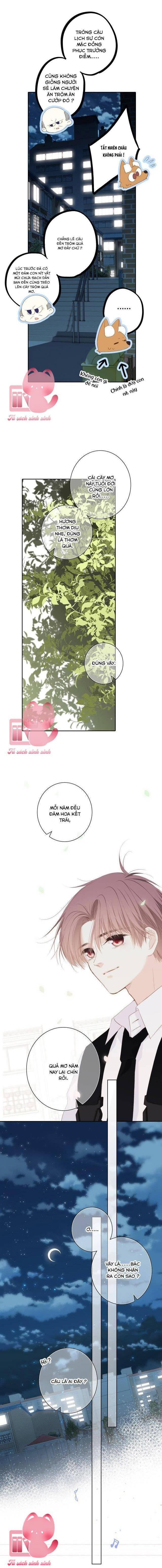 Con Tim Rung Động - Chap 165.1