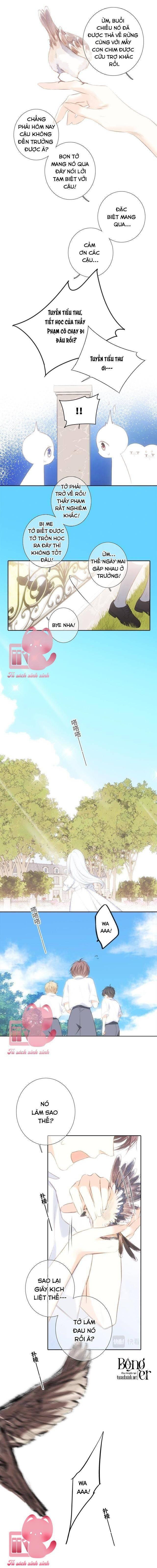 Con Tim Rung Động - Chap 176