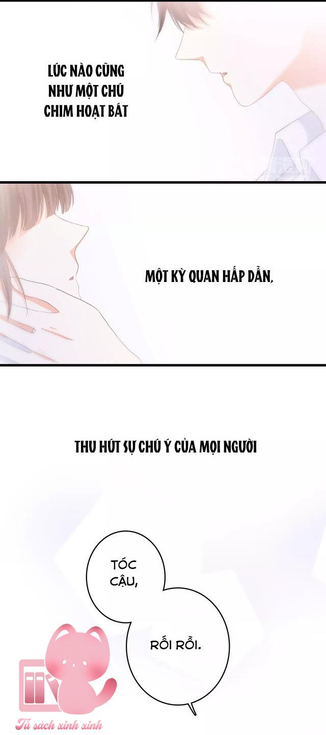 Con Tim Rung Động - Chap 53