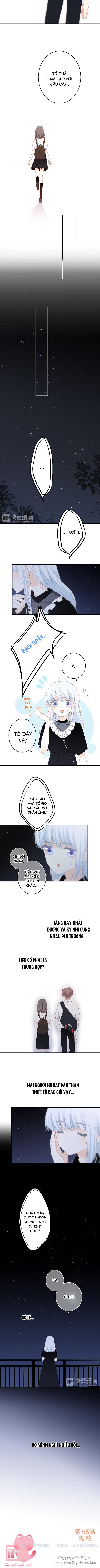 Con Tim Rung Động - Chap 56