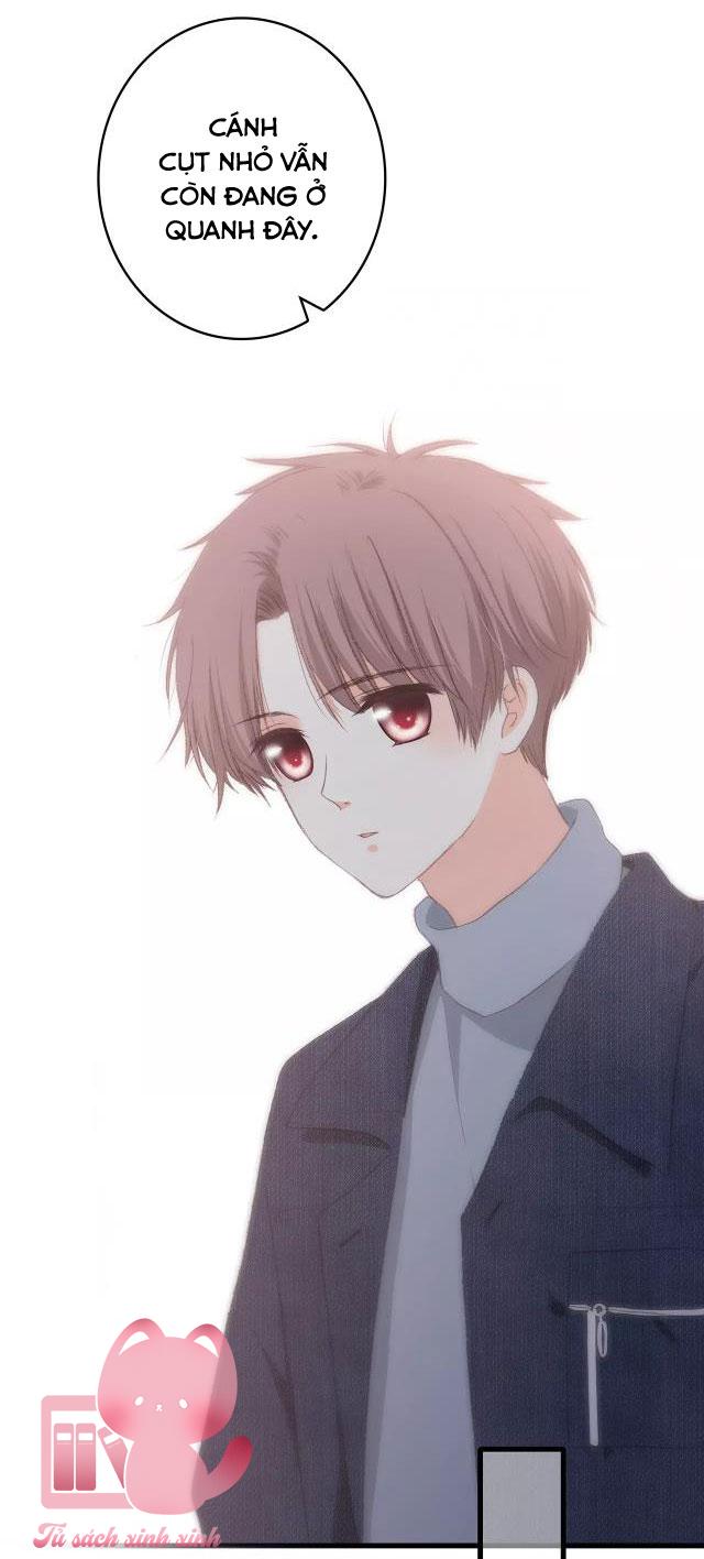 Con Tim Rung Động - Chap 66