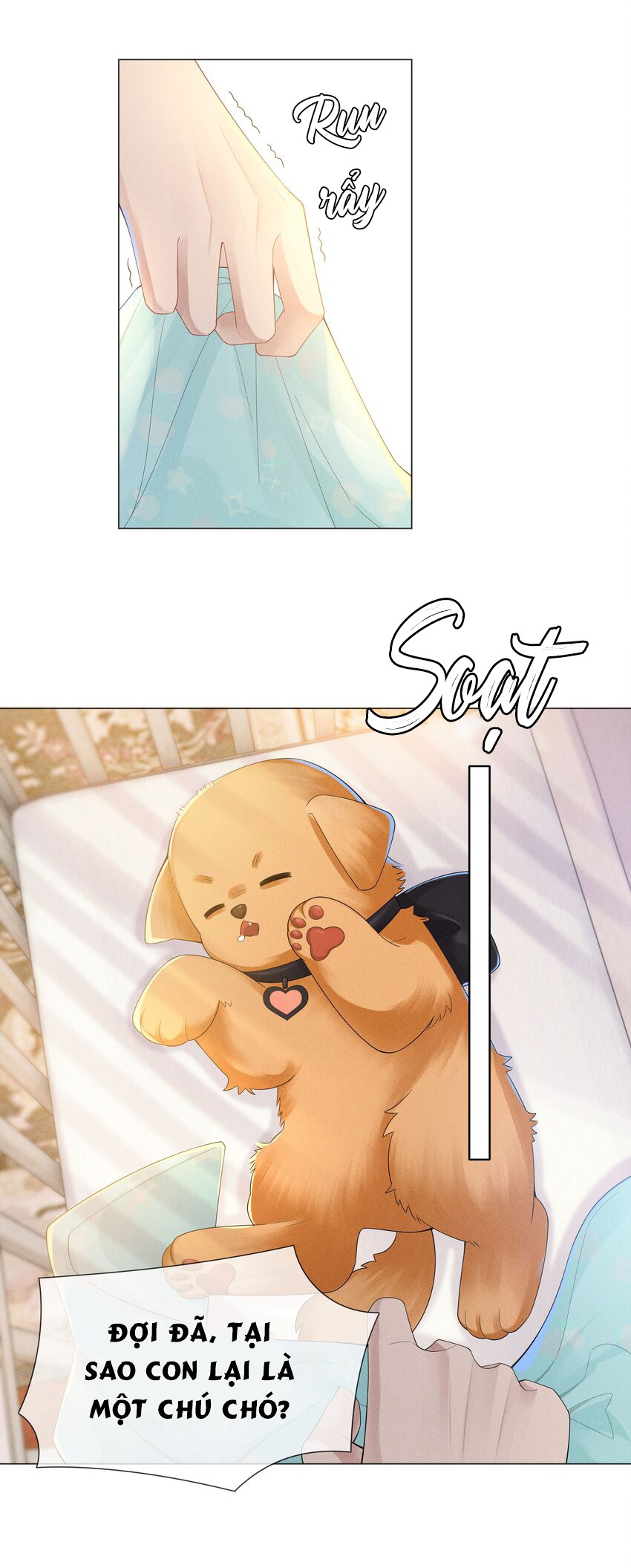 Dior Tiên Sinh - Chap 44