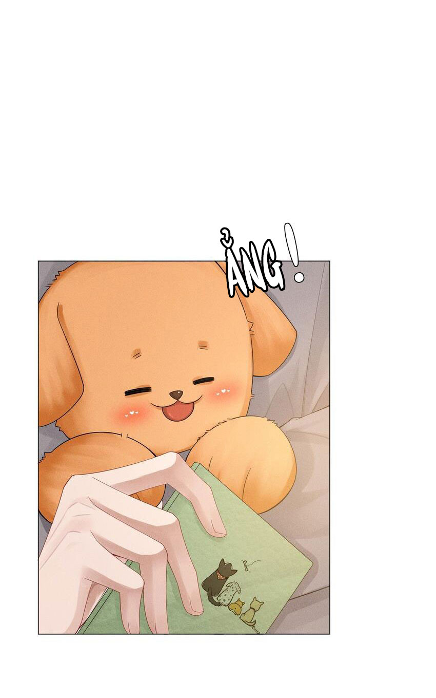 Dior Tiên Sinh - Chap 46