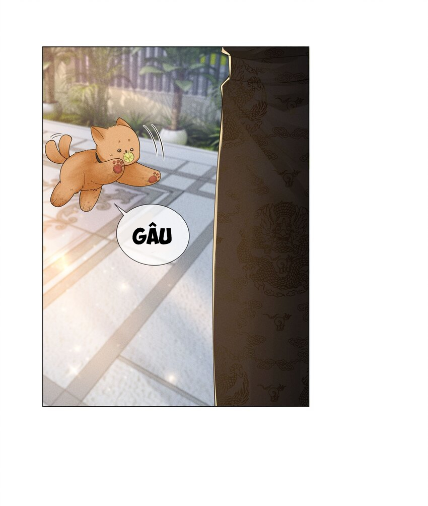 Dior Tiên Sinh - Chap 47