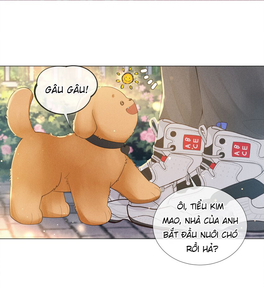 Dior Tiên Sinh - Chap 48