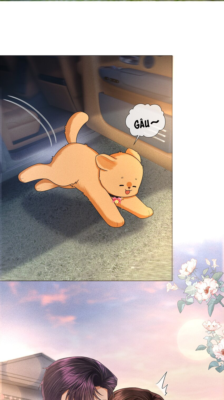 Dior Tiên Sinh - Chap 65