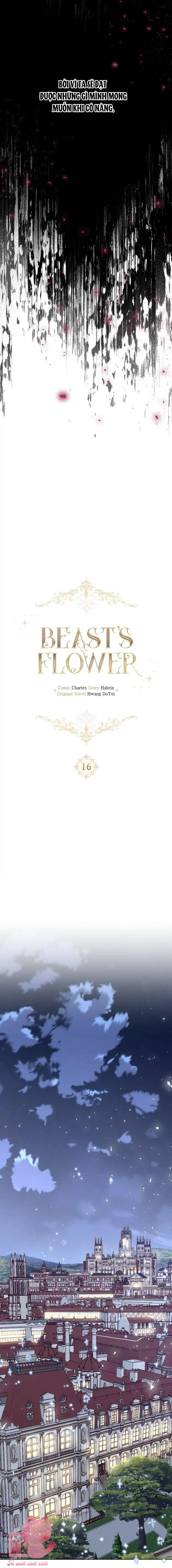 Đoá Hoa Của Dã Thú - Chap 16