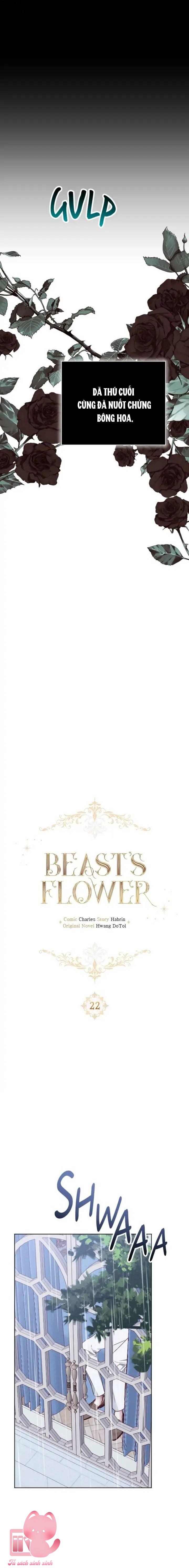 Đoá Hoa Của Dã Thú - Chap 22