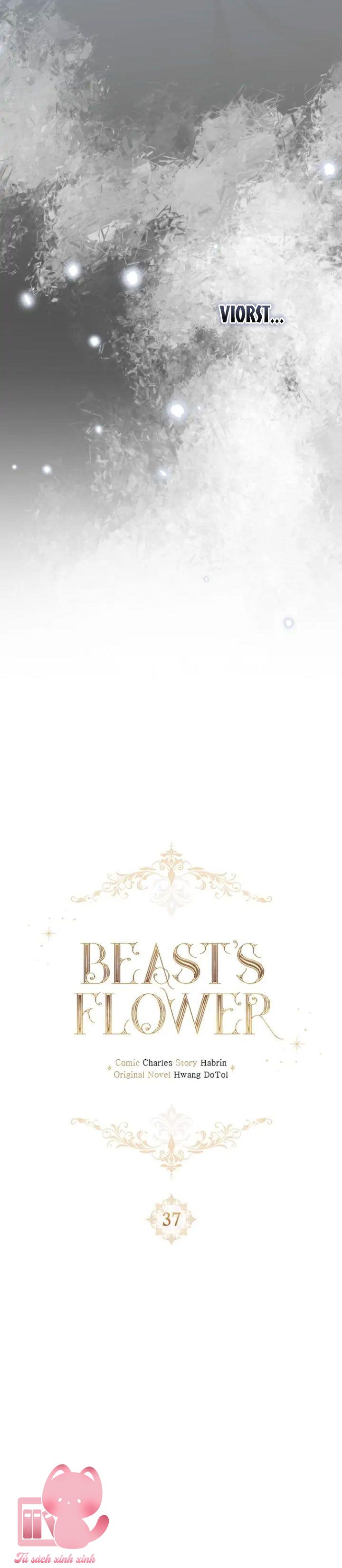 Đoá Hoa Của Dã Thú - Chap 37
