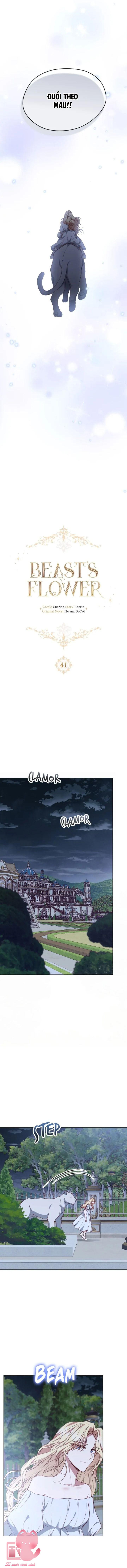 Đoá Hoa Của Dã Thú - Chap 41