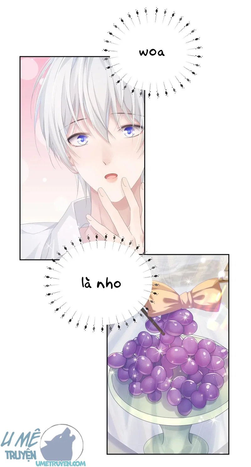 Đơn Xin Ly Hôn - Chap 8