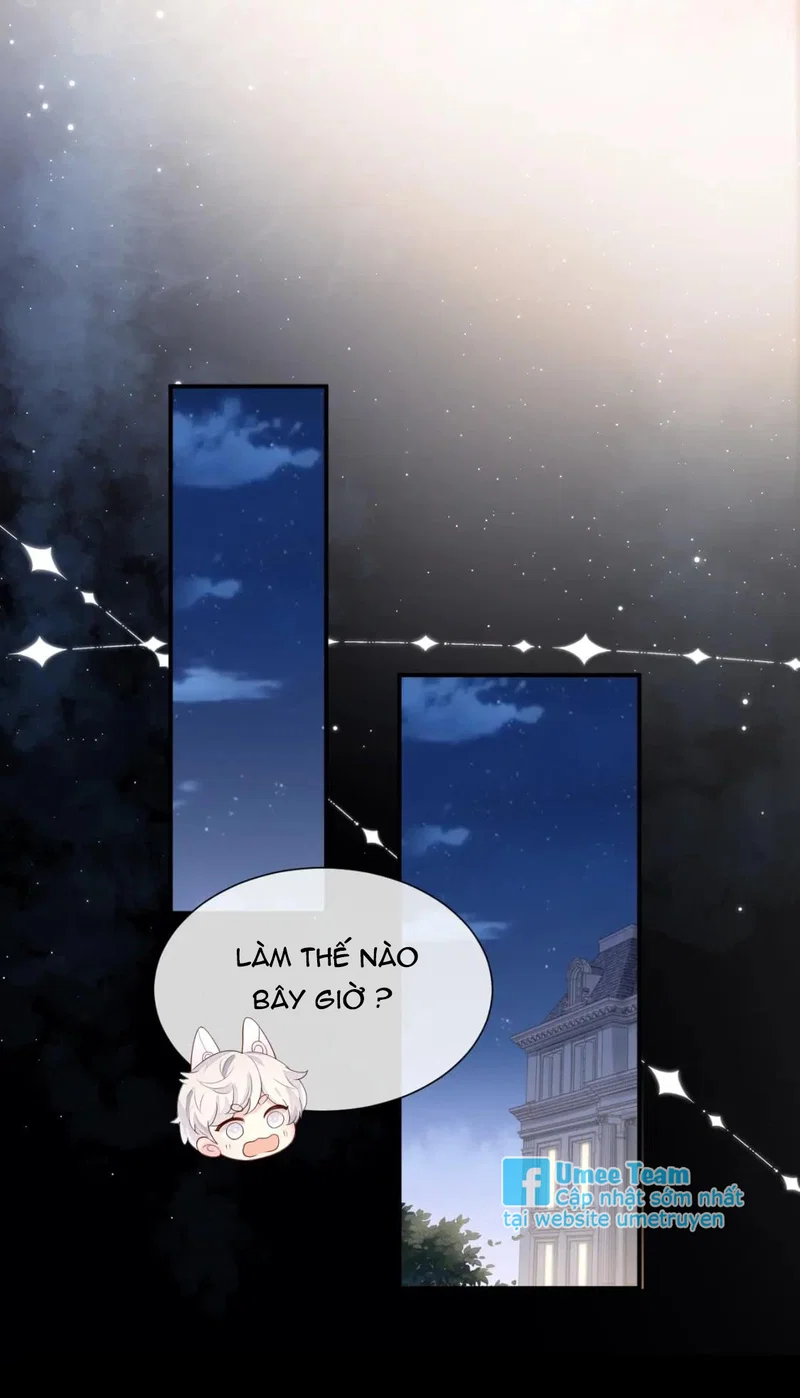 Đơn Xin Ly Hôn - Chap 85