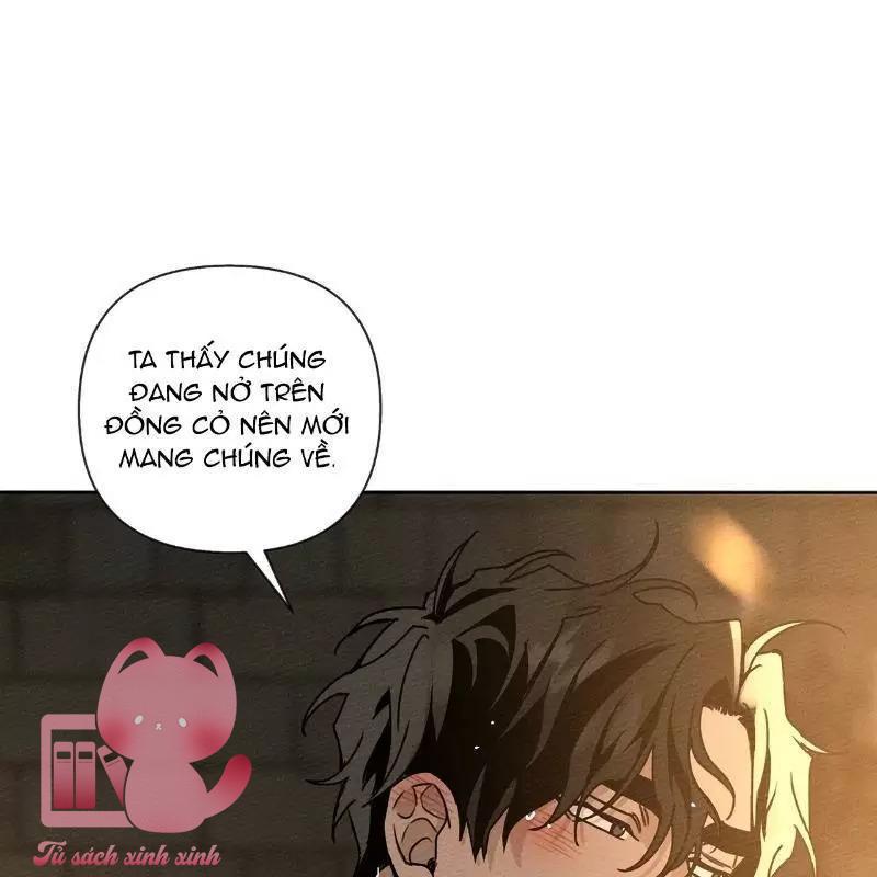 Dưới Tán Cây Sồi - Chap 13