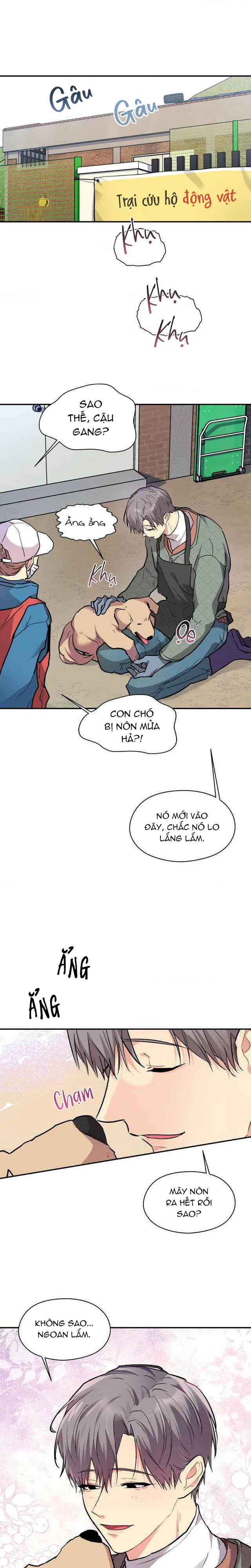 Em Nguyện Làm Chó Của Anh - Chap 1