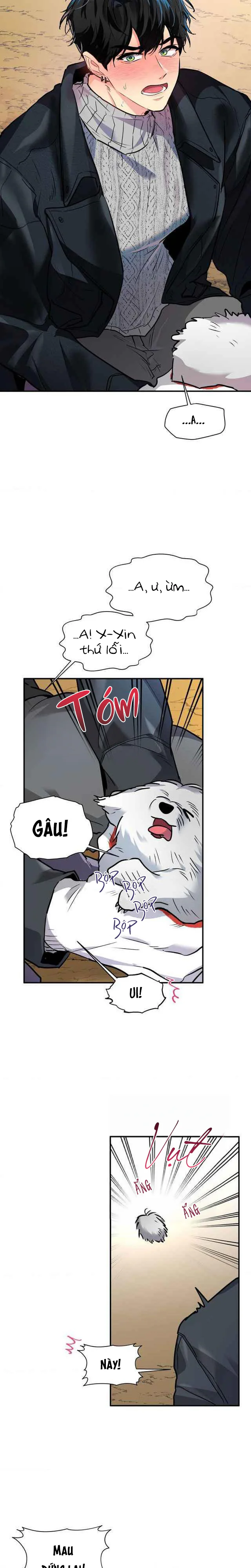 Em Nguyện Làm Chó Của Anh - Chap 1