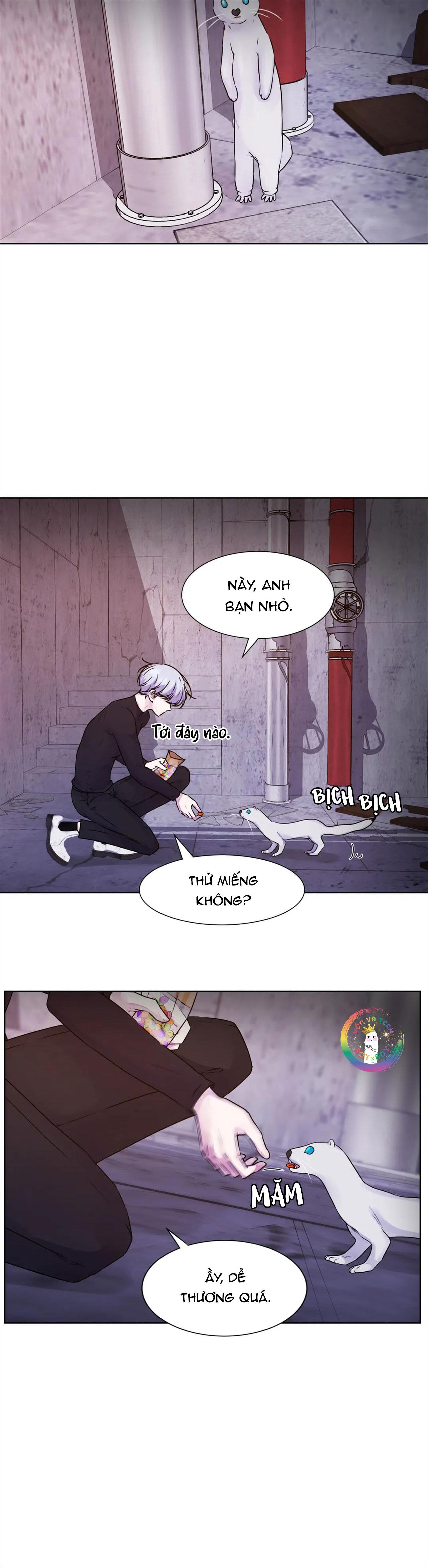 (END) Guiding Light - Chap 11