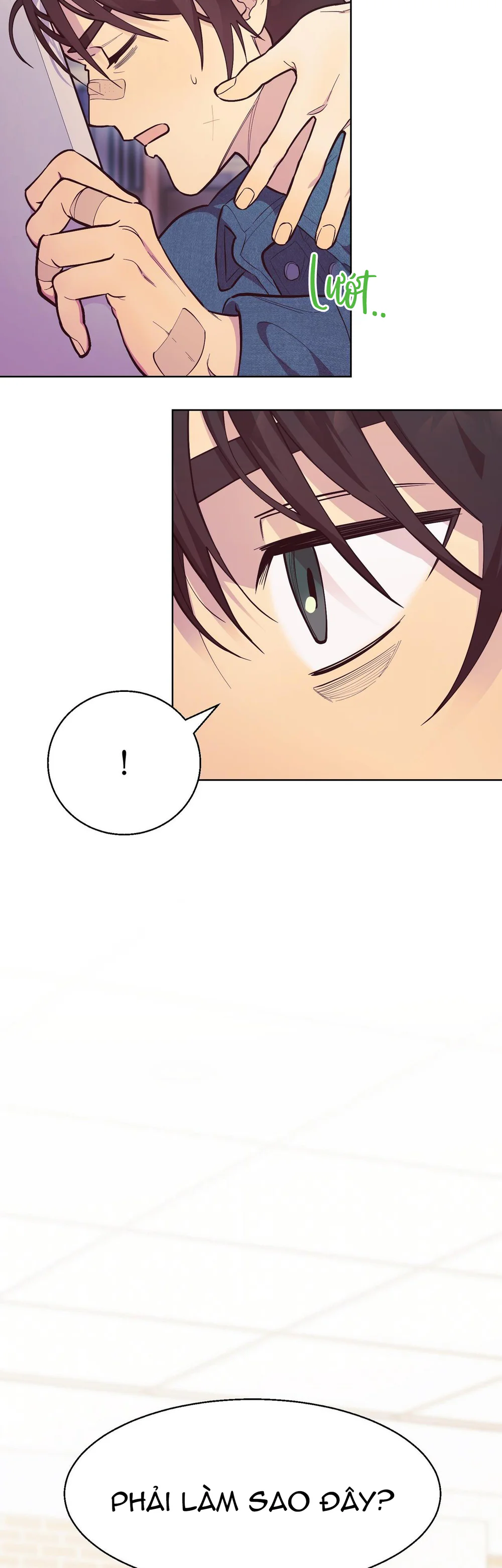 Giấc mơ xấu xí Chap 1 - Next Chap 2