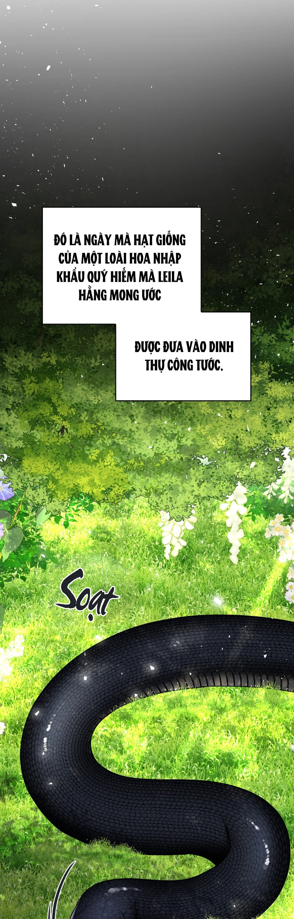 HANG RẮN - Chap 27