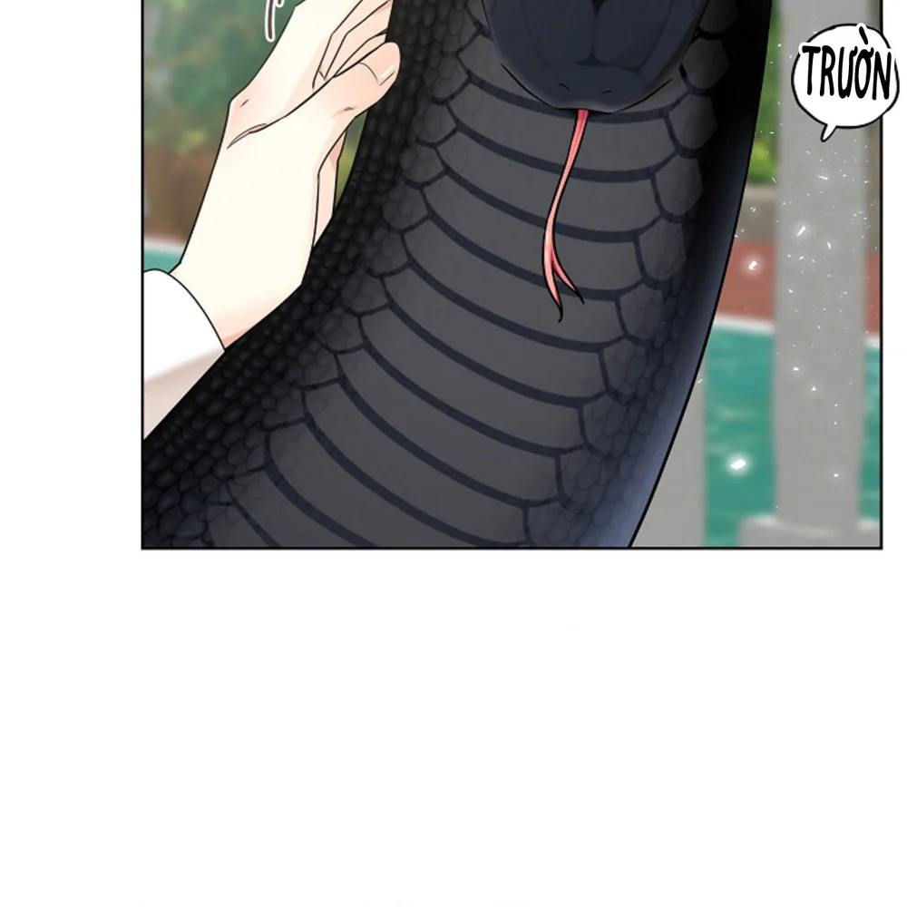 HANG RẮN - Chap 27