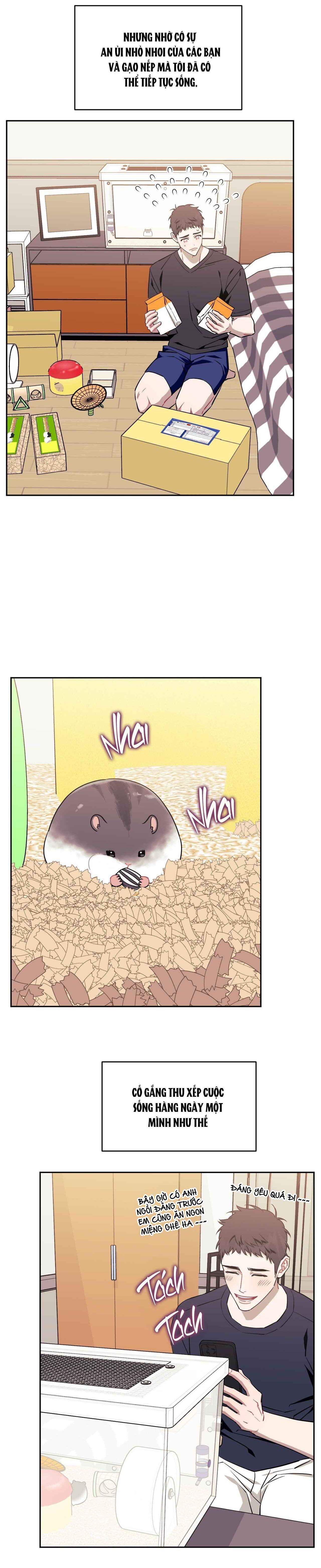 HƠN CẢ BẠN BÈ - Chap 101