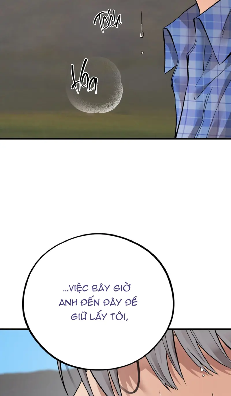 Honey Bear - Chap 77