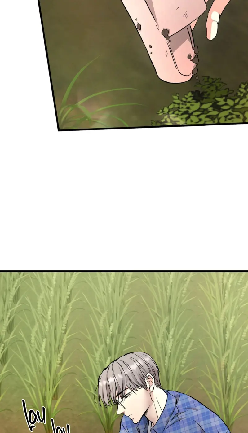 Honey Bear - Chap 77