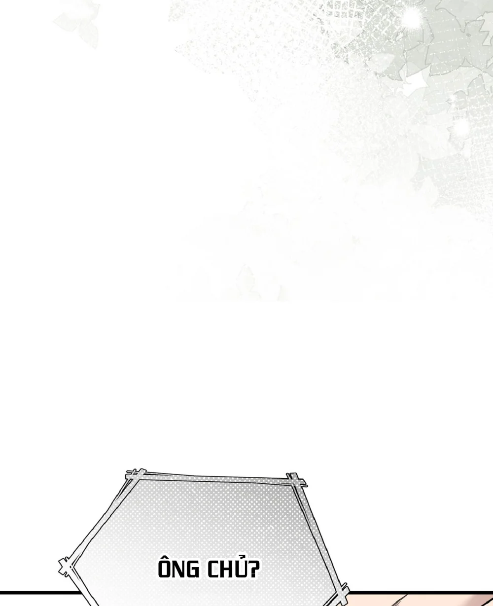 Honey Bear - Chap 78