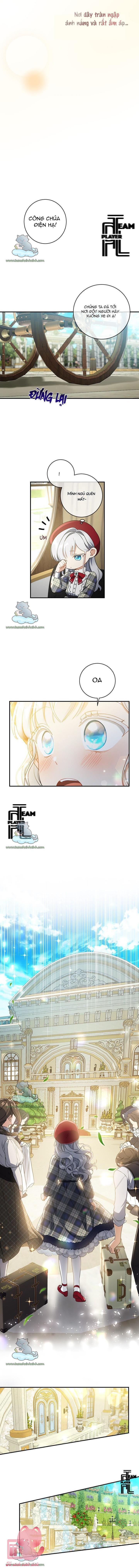 Hướng Về Ánh Dương Lần Nữa - Chap 36