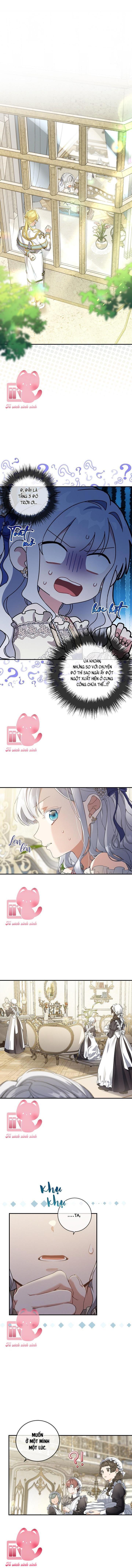 Hướng Về Ánh Dương Lần Nữa - Chap 49