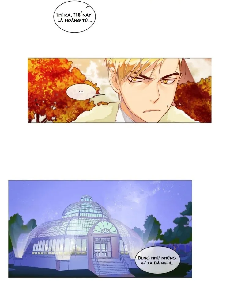 Kẻ Tạo Đức Vua - Chap 4