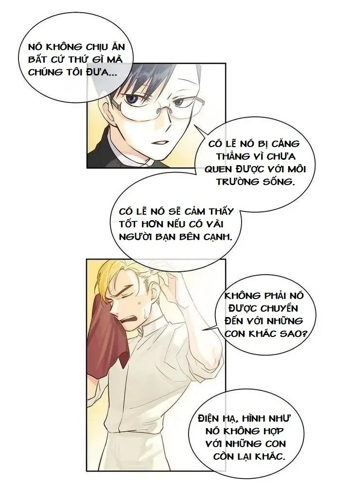 Kẻ Tạo Đức Vua - Chap 9