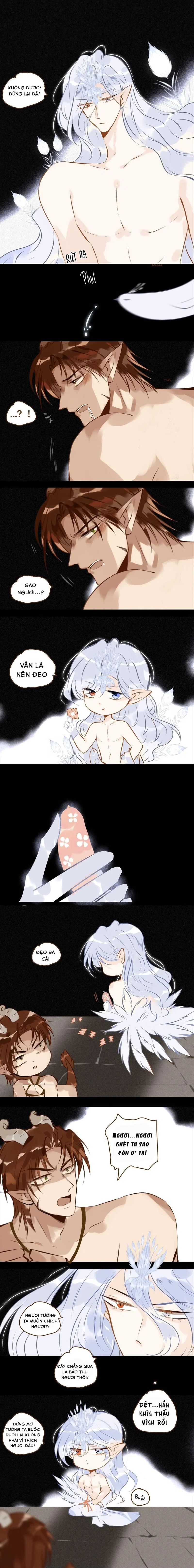 Khổng tước và kỳ lân - Chap 13