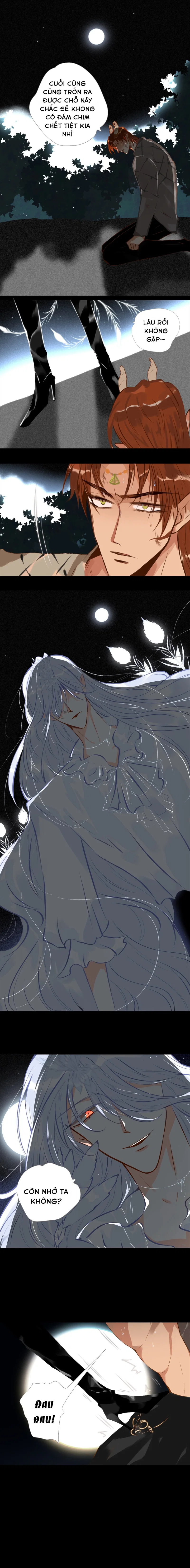 Khổng tước và kỳ lân - Chap 17