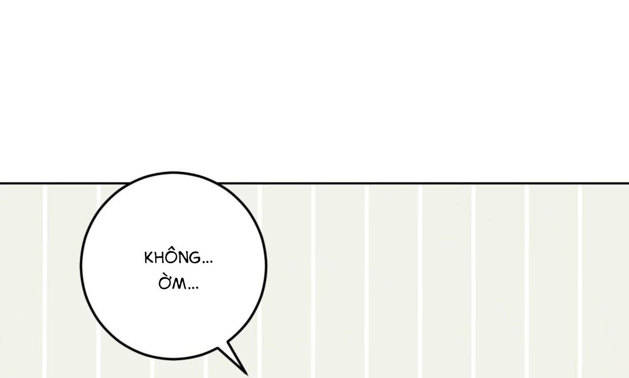 Khu Rừng Tĩnh Lặng - Chap 11